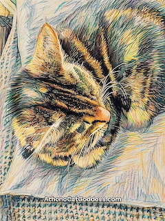 Tabby Cat Sleeping Art