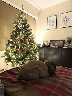 Brown rabbit on plaid blanket next to a lit Christmas tree in a cozy room