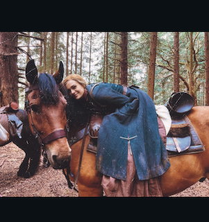 Woman With Horse in Forest