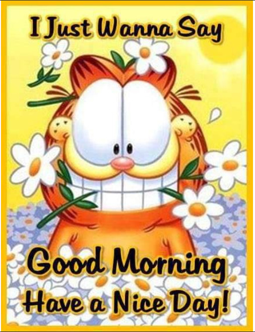Garfield cat surrounded by white daisies with good morning greeting text on yellow background