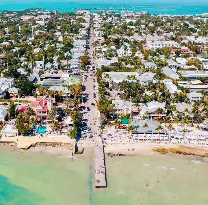 Aerial view of Duval Street in Key West with palm-lined buildings and turquoise shoreline