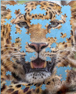 Leopard Jigsaw Puzzle