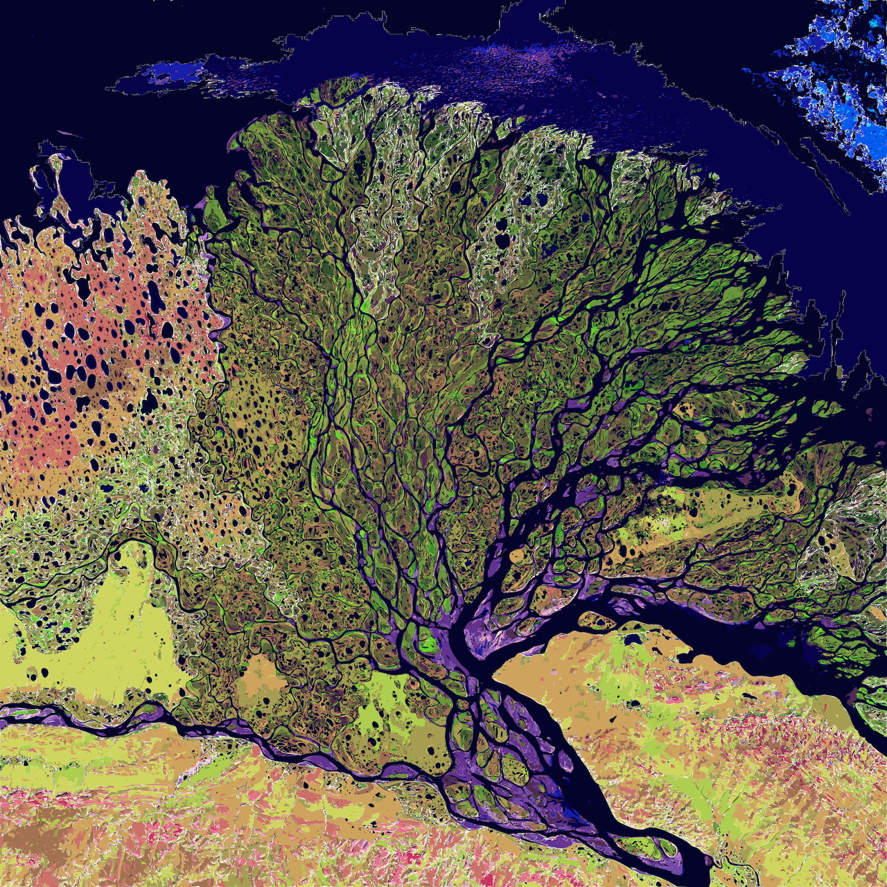 Aerial satellite view of branching river delta with colorful vegetation patterns in green, pink and blue tones