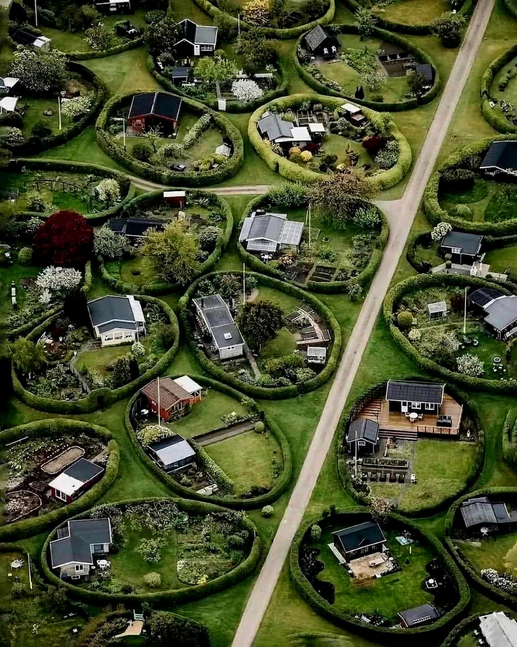Aerial view of houses in circular plots with green hedges and a road cutting through