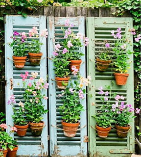 Potted Plant Wall