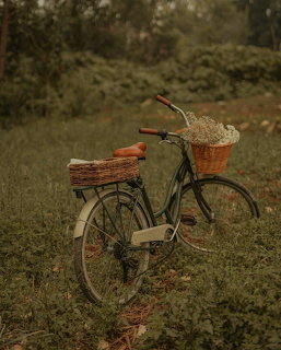 Vintage Bicycle Field