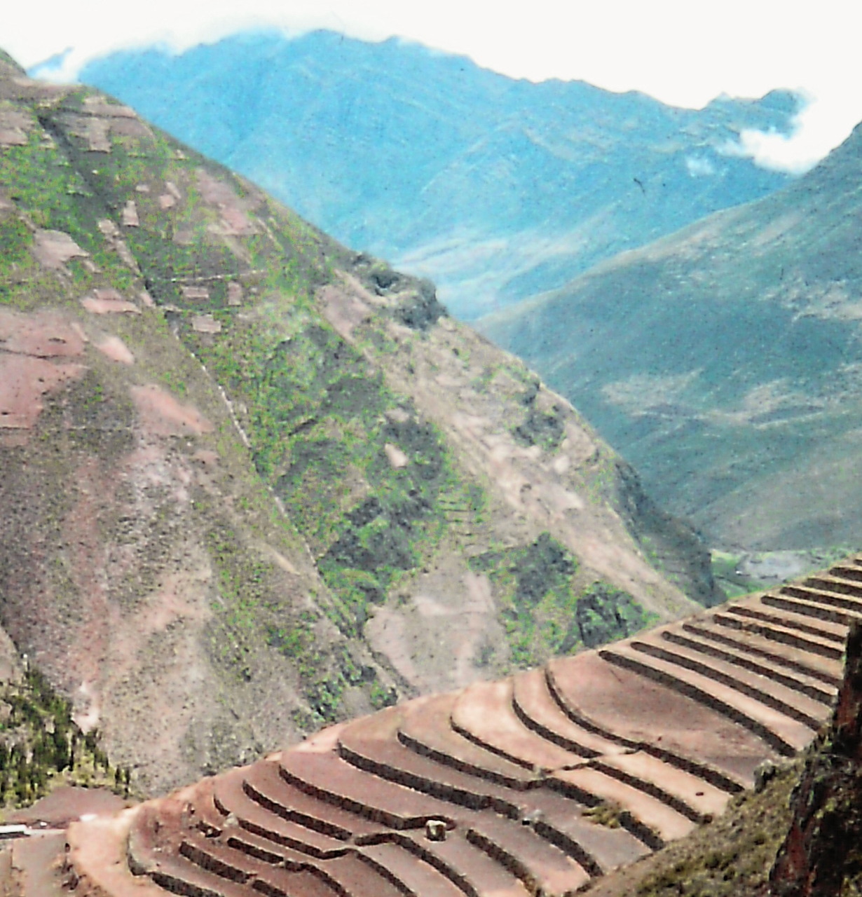 Inca Agriculture