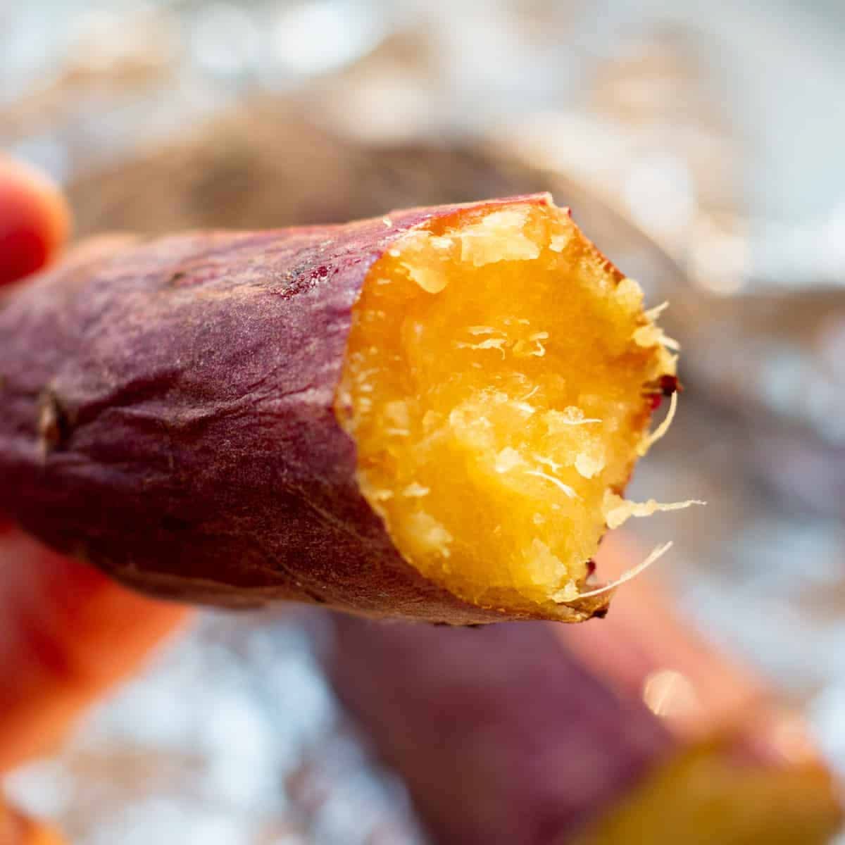 Sweet Potato