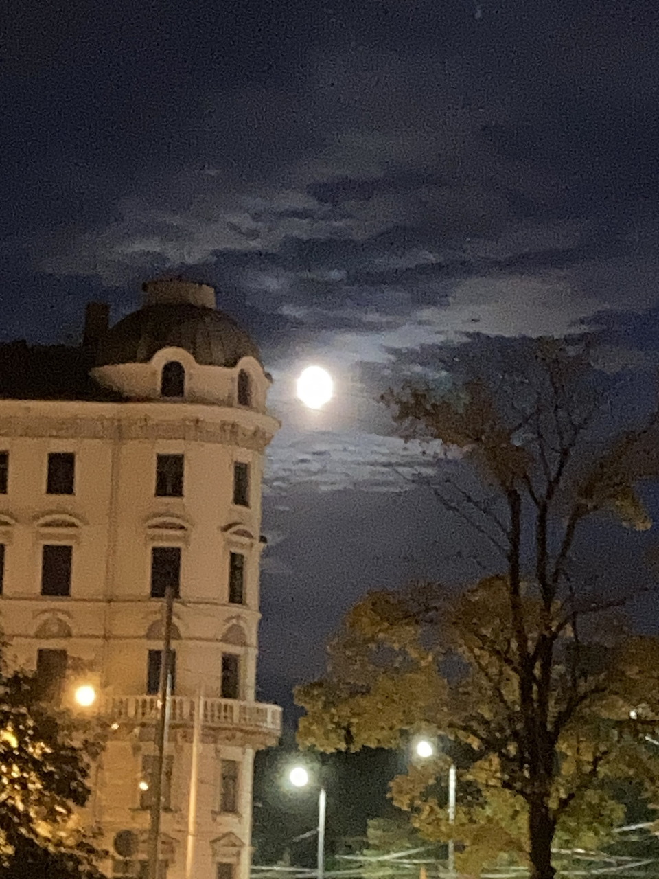 Moonlit City Building