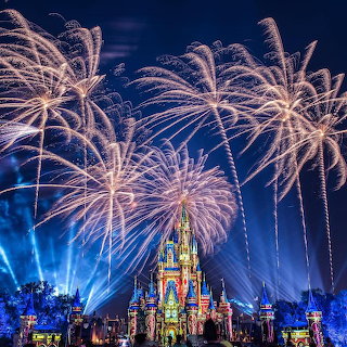Magic Kingdom Fireworks