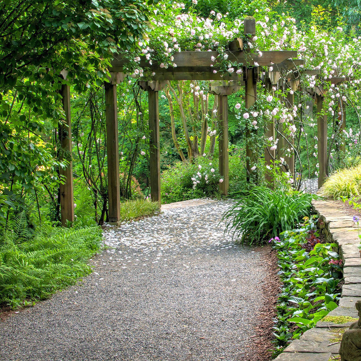 Gravel garden path leading through wooden arbor with green plants and trees