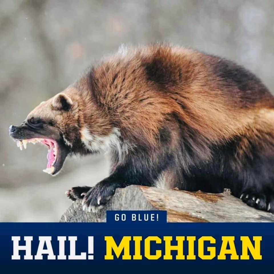 Michigan Wolverine Mascot