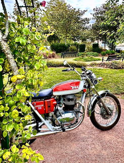 Red and chrome BSA Lightning 650 motorcycle on driveway with yellow roses and house in background