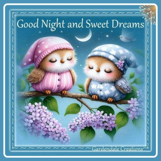 Illustration of two sleepy owls on a lilac branch with the text Good Night and Sweet Dreams