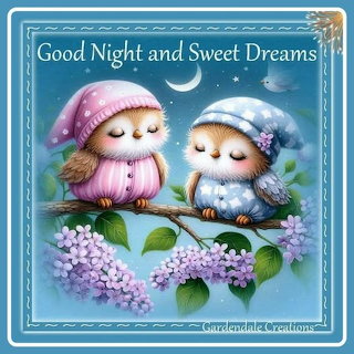 Cute Owls Illustration