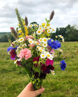Hand holding colorful wildflower bouquet in outdoor field setting