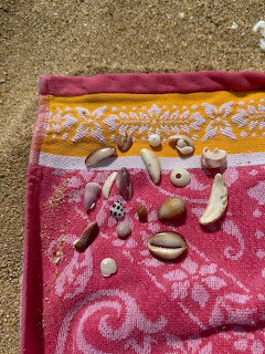 Small seashells arranged on a pink patterned beach towel on sand