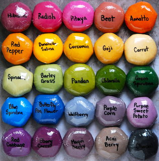 Twenty-five dumplings arranged in a 5x5 grid, each a different color from natural food dyes with handwritten labels
