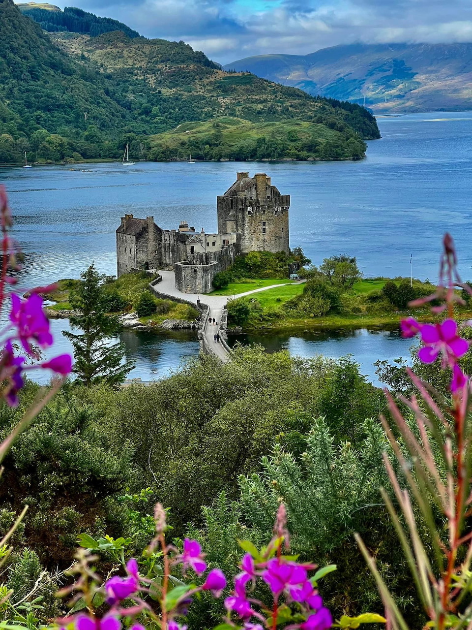 Eilean Donan Castle on island with stone bridge, mountains, and purple flowers framing view