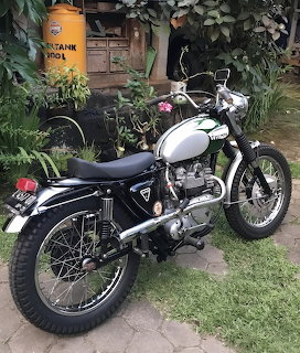White and black vintage Triumph Trophy motorcycle on brick patio in garden setting