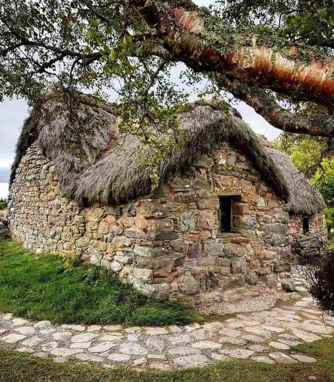 Historic stone cottage with thick thatched roof beneath old tree branches