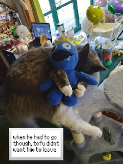 Tofu the Cat with Blue Toy