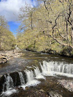 Wide waterfall flowing over rocks in a tree-lined river in Wales on a sunny spring day