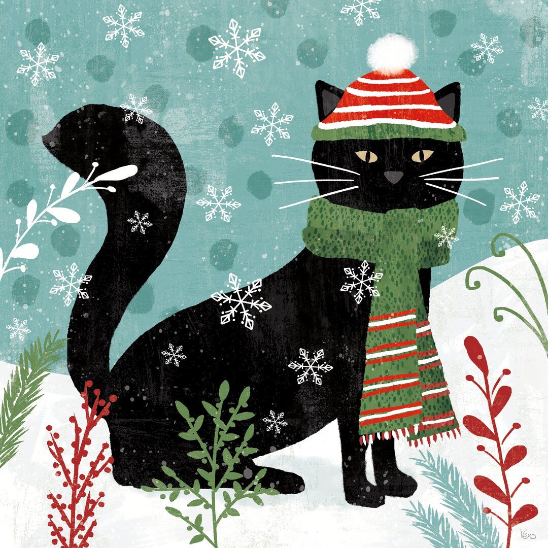 Black Cat in Winter Scarf
