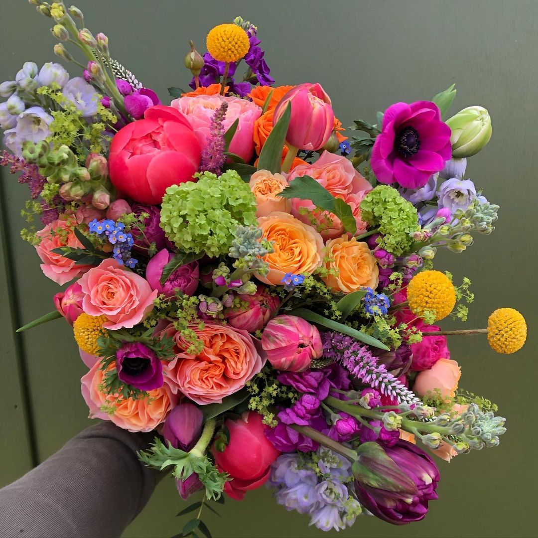 Colorful flower bouquet with pink, orange, purple, yellow blooms and green foliage held against gray-green wall