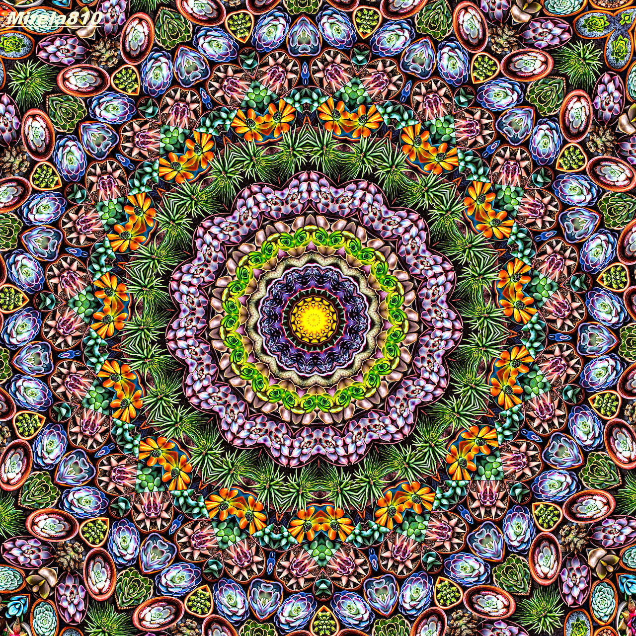 Circular mandala with colorful floral patterns and geometric designs radiating from a yellow center