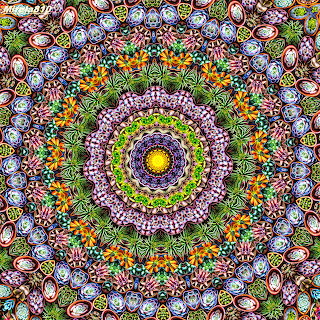 Colorful Floral Mandala