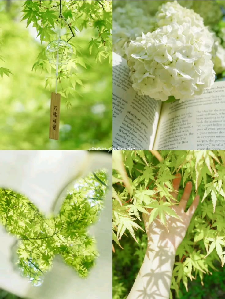Green Nature Collage