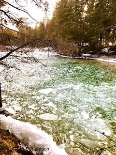 Frozen River in Winter Forest