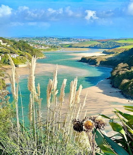 Turquoise River Gannel estuary with sandy shores and green hills near Newquay, pampas grass in foreground