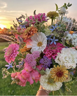 Hand holding diverse colorful wildflower bouquet at golden hour with field and sky background