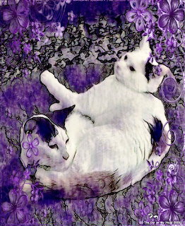 White Kitten Purple Flowers