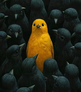 Bright yellow bird surrounded by dark black birds