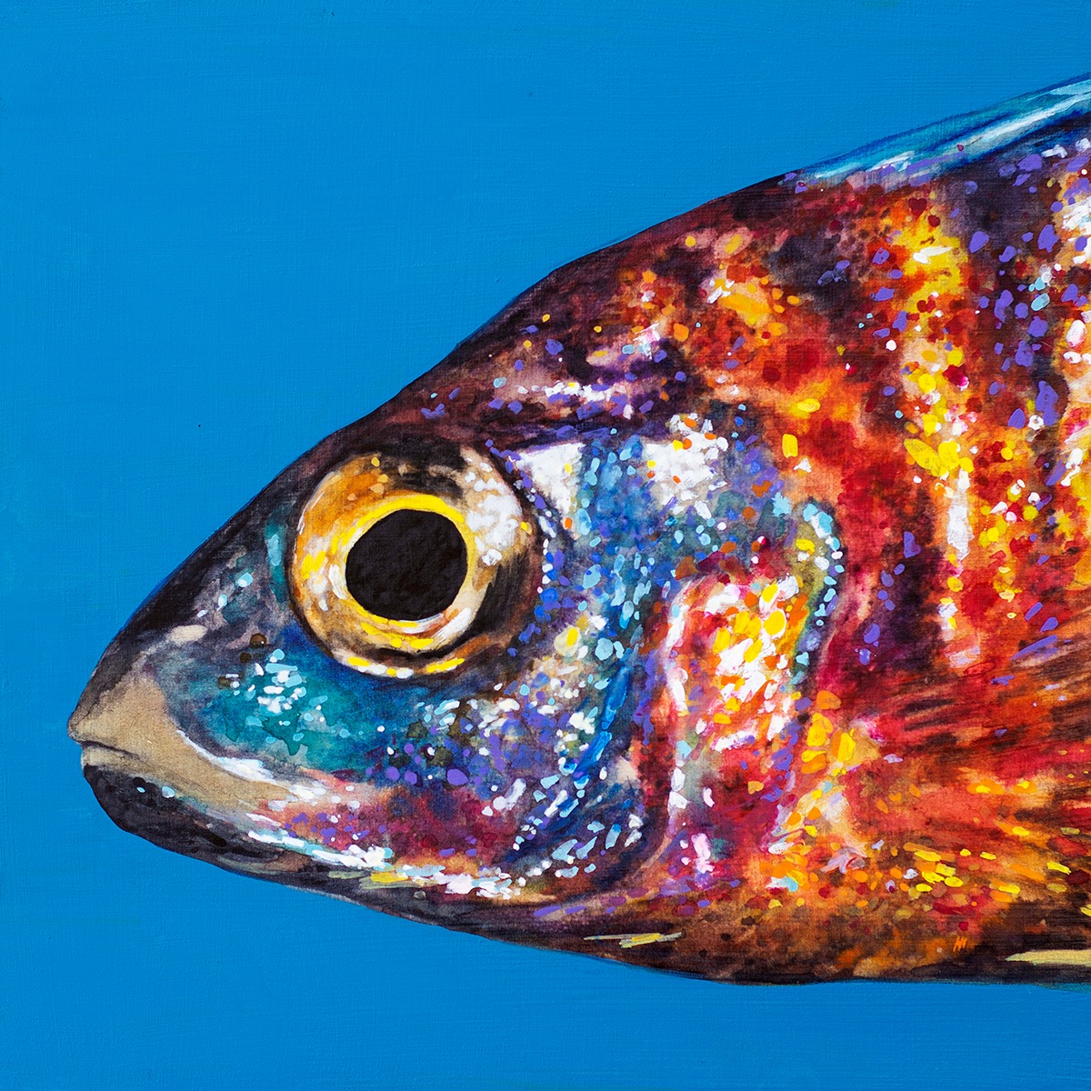 Close-up painting of a colorful fish with orange and blue scales and yellow eye on blue background
