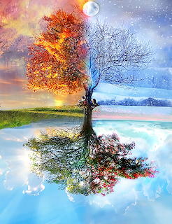 Tree split into four seasons with colorful foliage reflected in calm water under moon and sun
