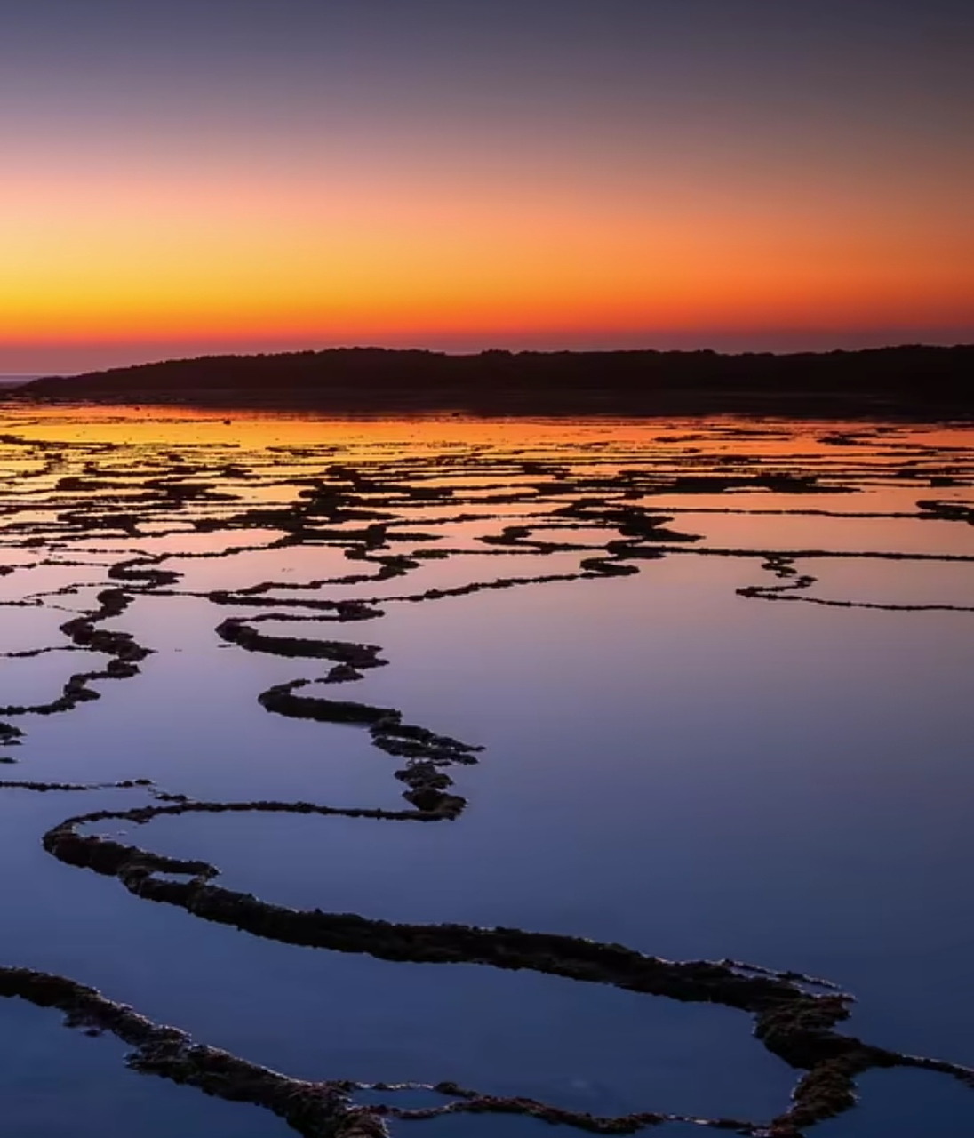 Colorful sunset reflecting on calm tidal flats with winding dark channels and a low distant shoreline