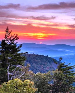 Colorful sunset over blue mountain ridges with dark trees in foreground