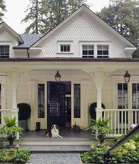 Dog sitting on the front porch of a white house with columns and hanging lanterns
