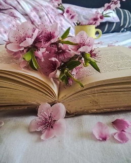 Open old book with pink cherry blossom flowers resting on its pages on a white tablecloth