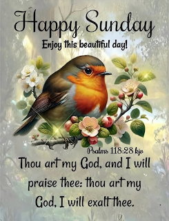 Robin bird on a branch with white flowers and Happy Sunday greeting text with Bible verse