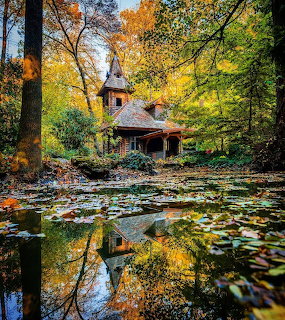 Cottage by Forest Pond