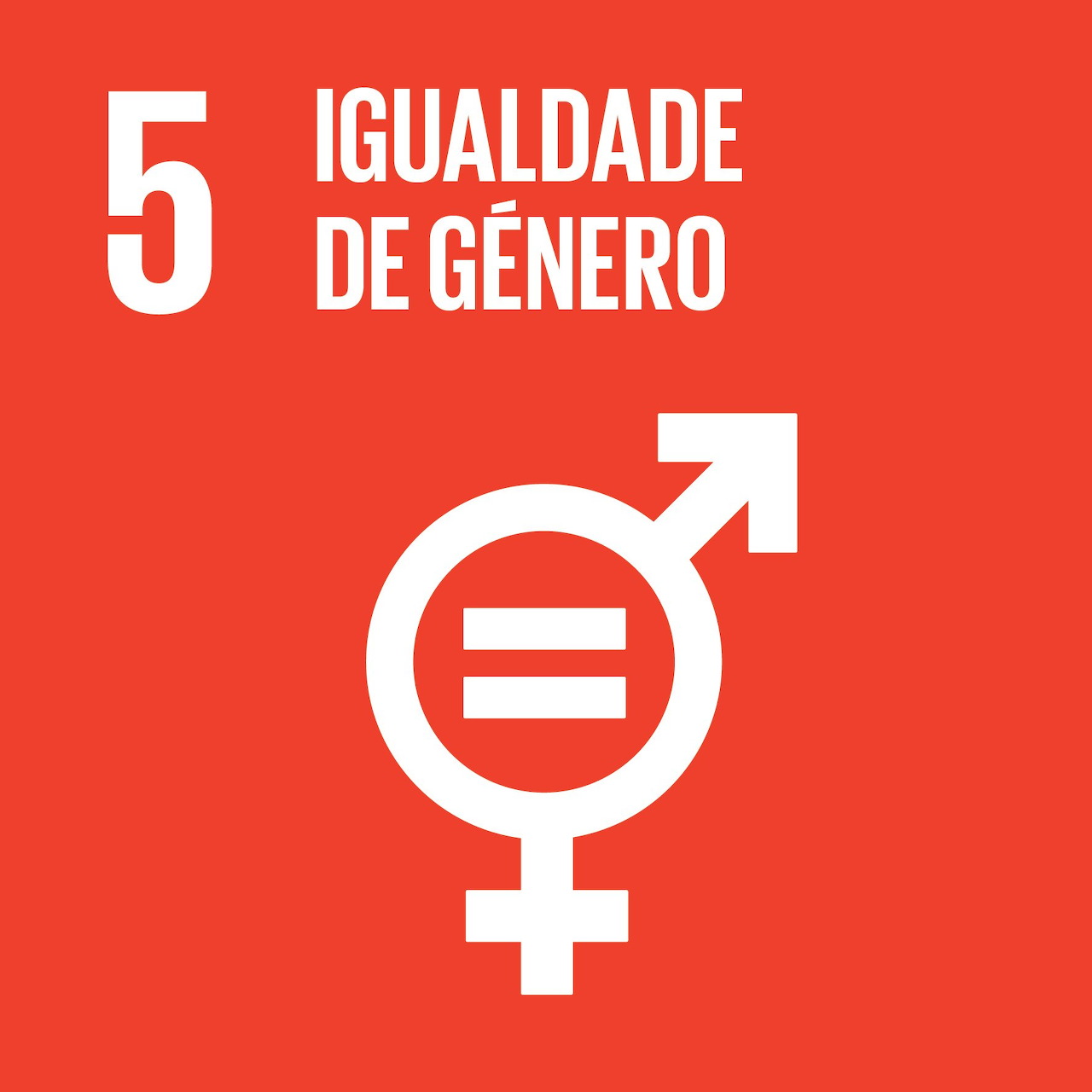 Red icon with number 5, Portuguese gender equality text, and white equality symbol