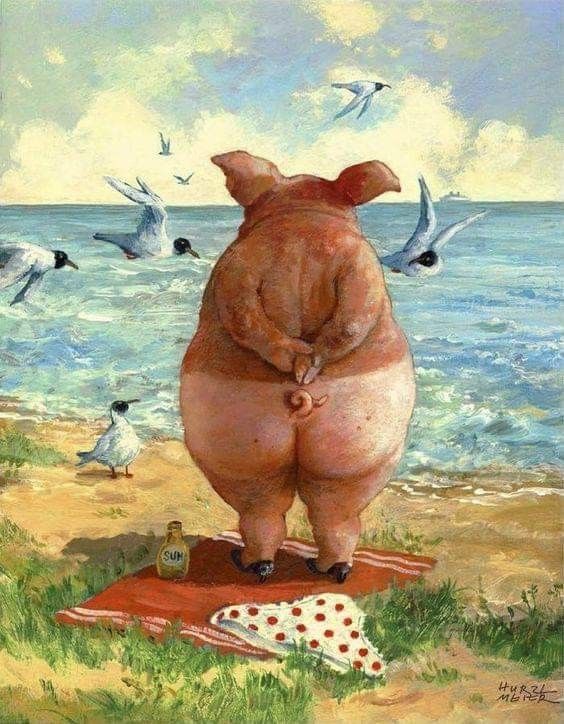 Rear view of a pig standing on a beach looking at the ocean with flying seagulls