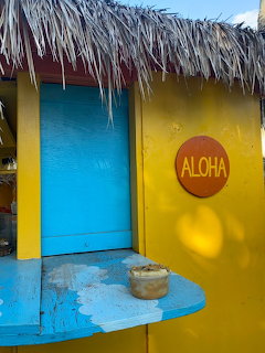 Tropical beach shack with palm thatch roof, yellow turquoise walls, and ALOHA sign