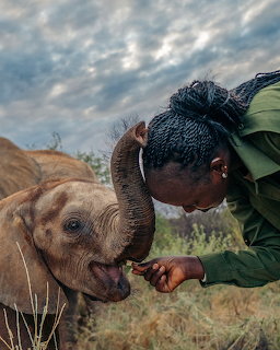Woman in green feeding a baby elephant by hand at an African wildlife sanctuary