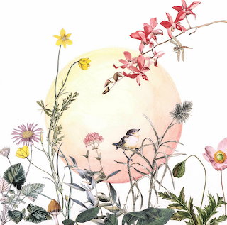 Renata Kos Botanical Illustration